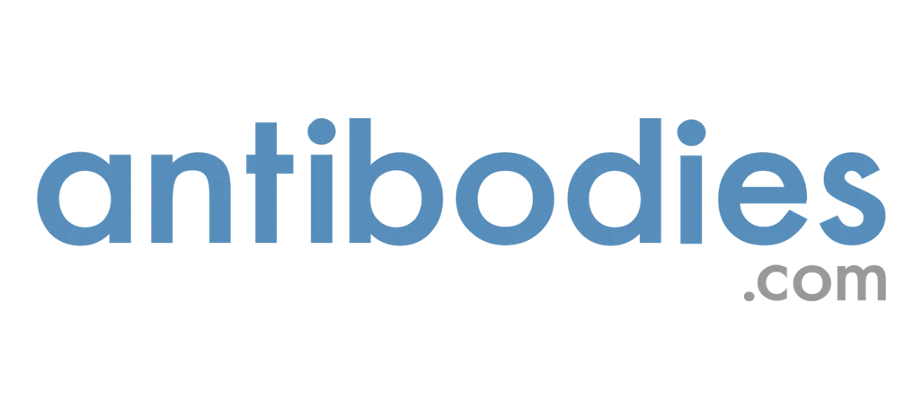 Antibodies
