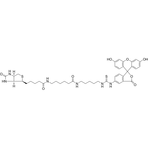 Fluorescein Biotin