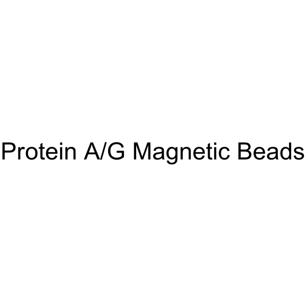 Protein A/G Magnetic Beads