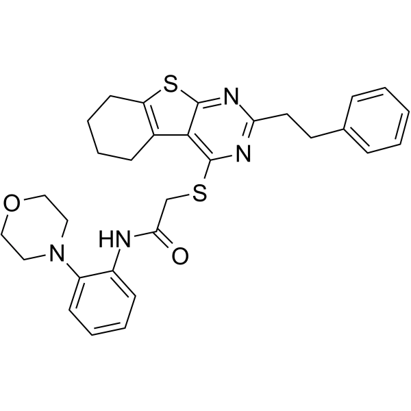 iHCK-37