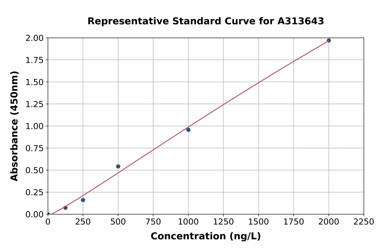 Human AKAP12 ELISA Kit (A313643-96)