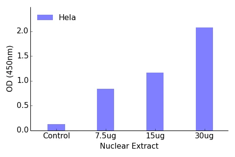 HSF1 ELISA Kit (A104271-96)