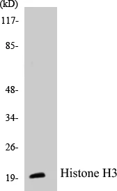 Histone H3 Cell Based ELISA Kit (A102889-96)