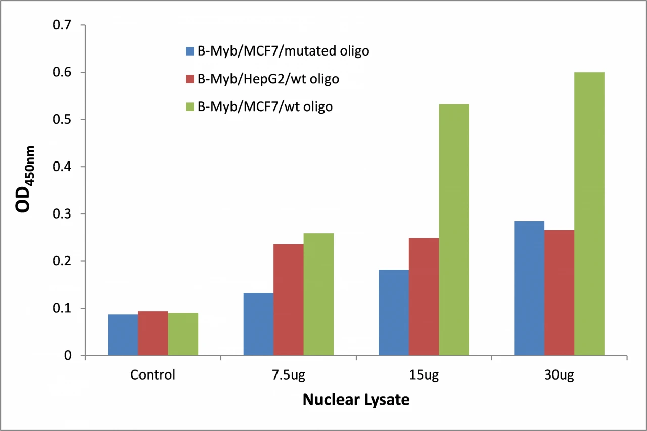 B-Myb ELISA Kit (A104210-96)