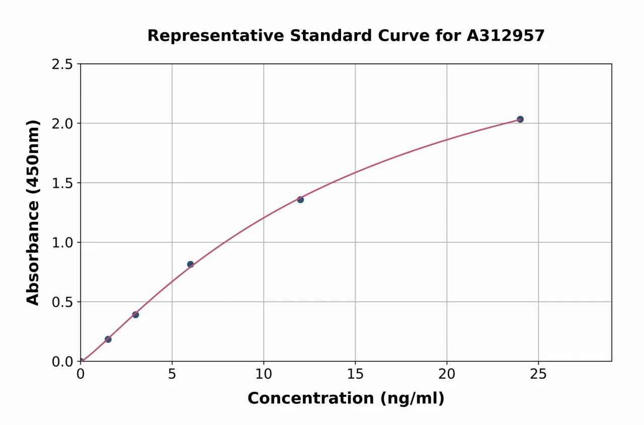 Human CHST15 ELISA Kit (A312957-96)