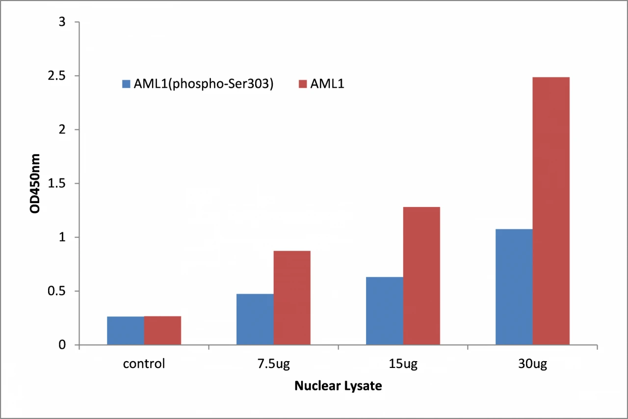 AML1 (phospho Ser303) ELISA Kit (A104152-96)