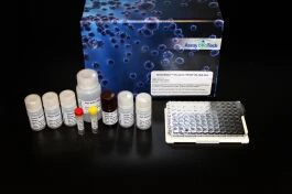 Human BD-1 ELISA Kit (A104036-96)