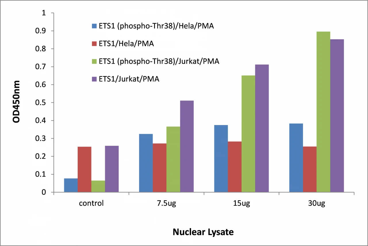 ETS1 (phospho Thr38) ELISA Kit (A104170-96)