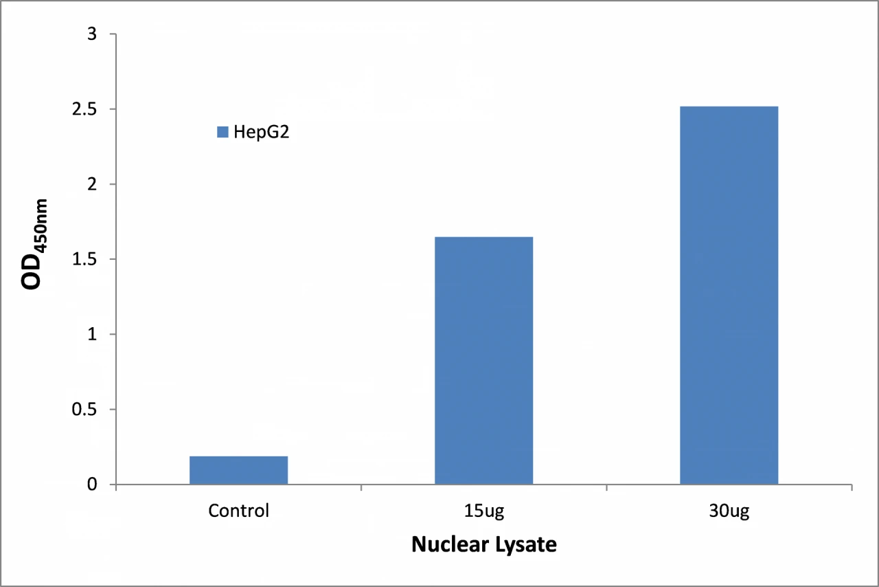 HNF4 alpha + gamma ELISA Kit (A104184-96)