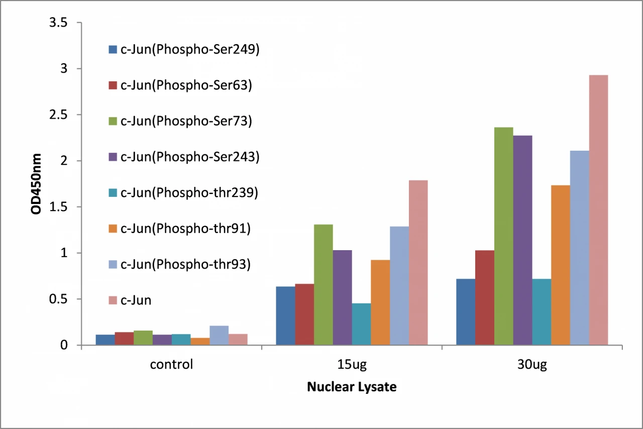 c-Jun (phospho Ser249) ELISA Kit (A104130-96)