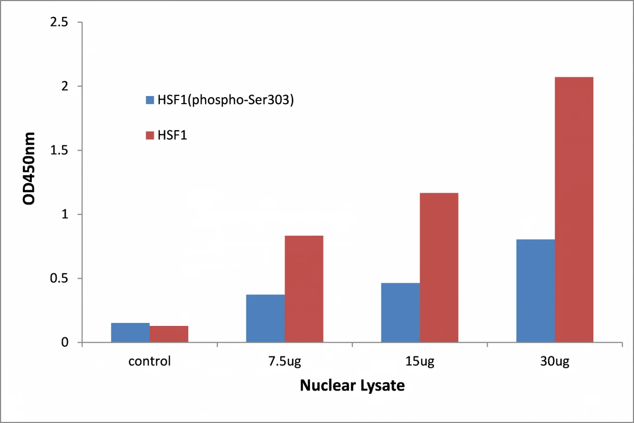 HSF1 (phospho Ser303) ELISA Kit (A104168-96)