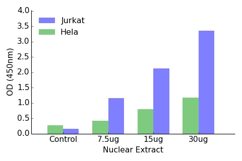 HOXA1 ELISA Kit (A104228-96)