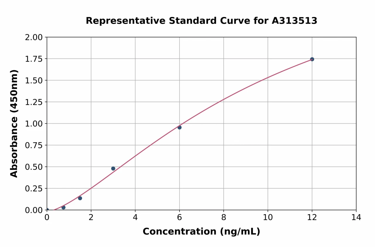 Human Caspase-4 ELISA Kit (A313513-96)