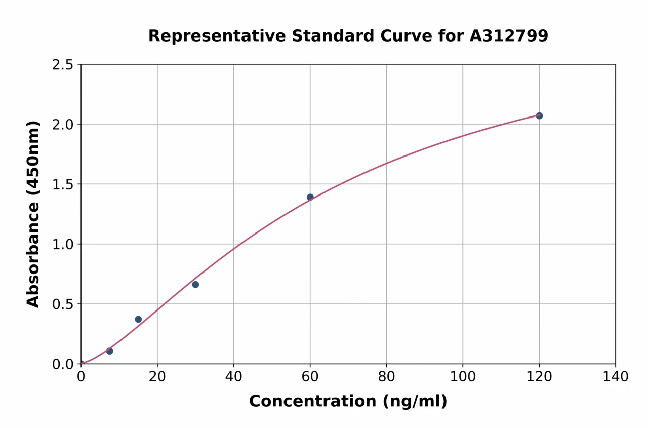 Human Calnexin ELISA Kit (A312799-96)