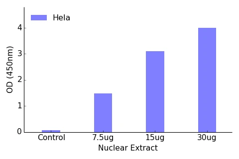 ATF1 ELISA Kit (A104213-96)