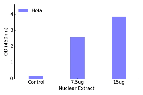 FOXK1 ELISA Kit (A104223-96)