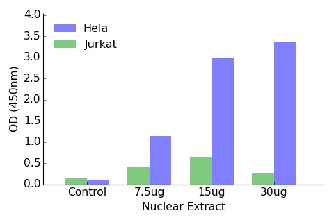 HIF-1 alpha ELISA Kit (A104189-96)