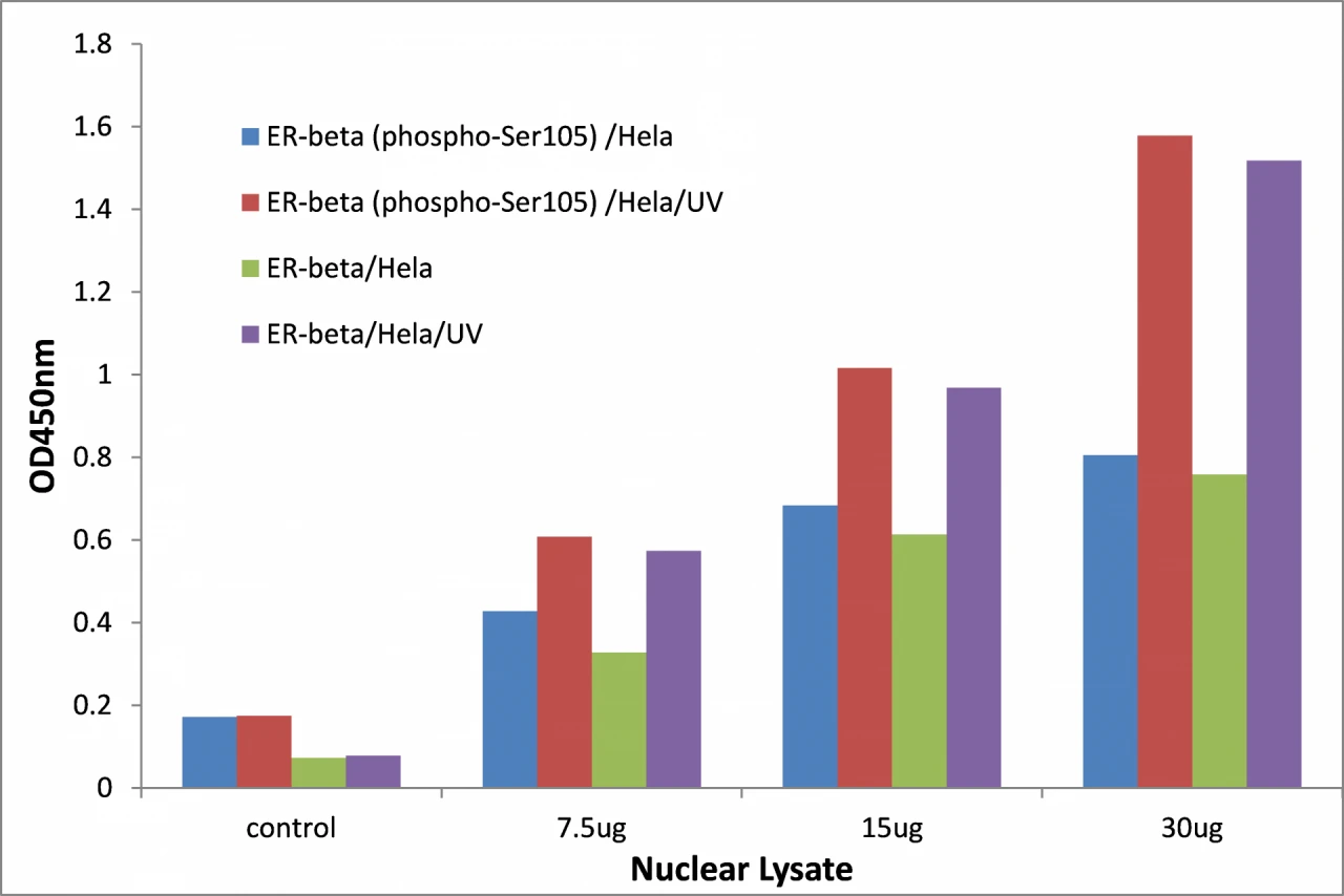 Estrogen Receptor beta (phospho Ser105) ELISA Kit (A104104-96)