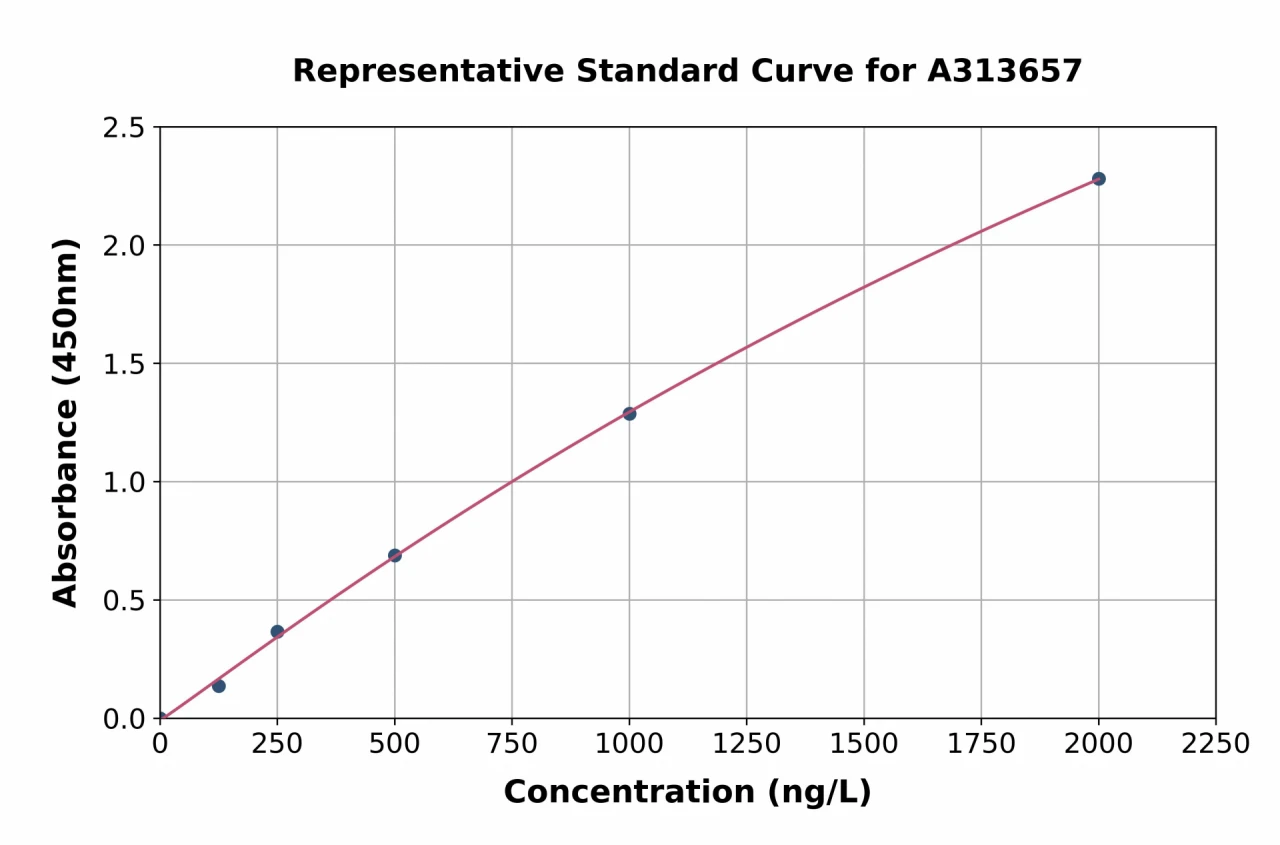 Human cGKII ELISA Kit (A313657-96)