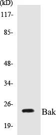 Bak Cell Based ELISA Kit (A103558-96)