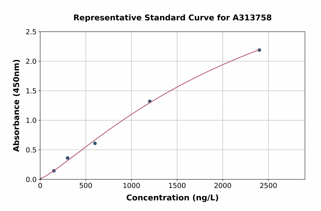 Human Arp3 ELISA Kit (A313758-96)