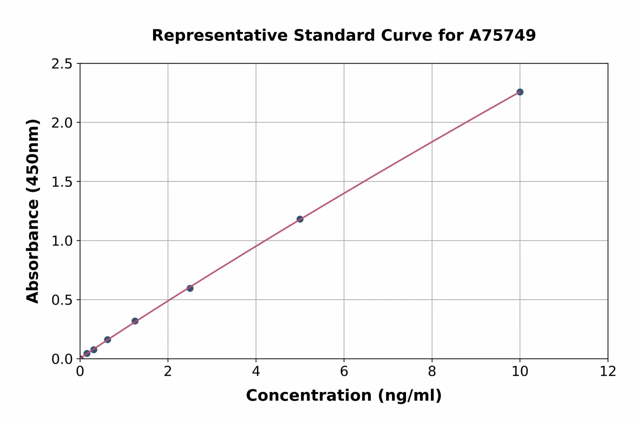 Human AMPK alpha 2 ELISA Kit (A75749-96)