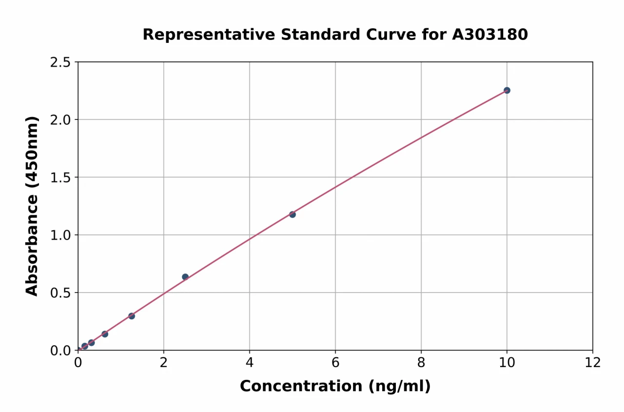 Human ATG3 ELISA Kit (A303180-96)