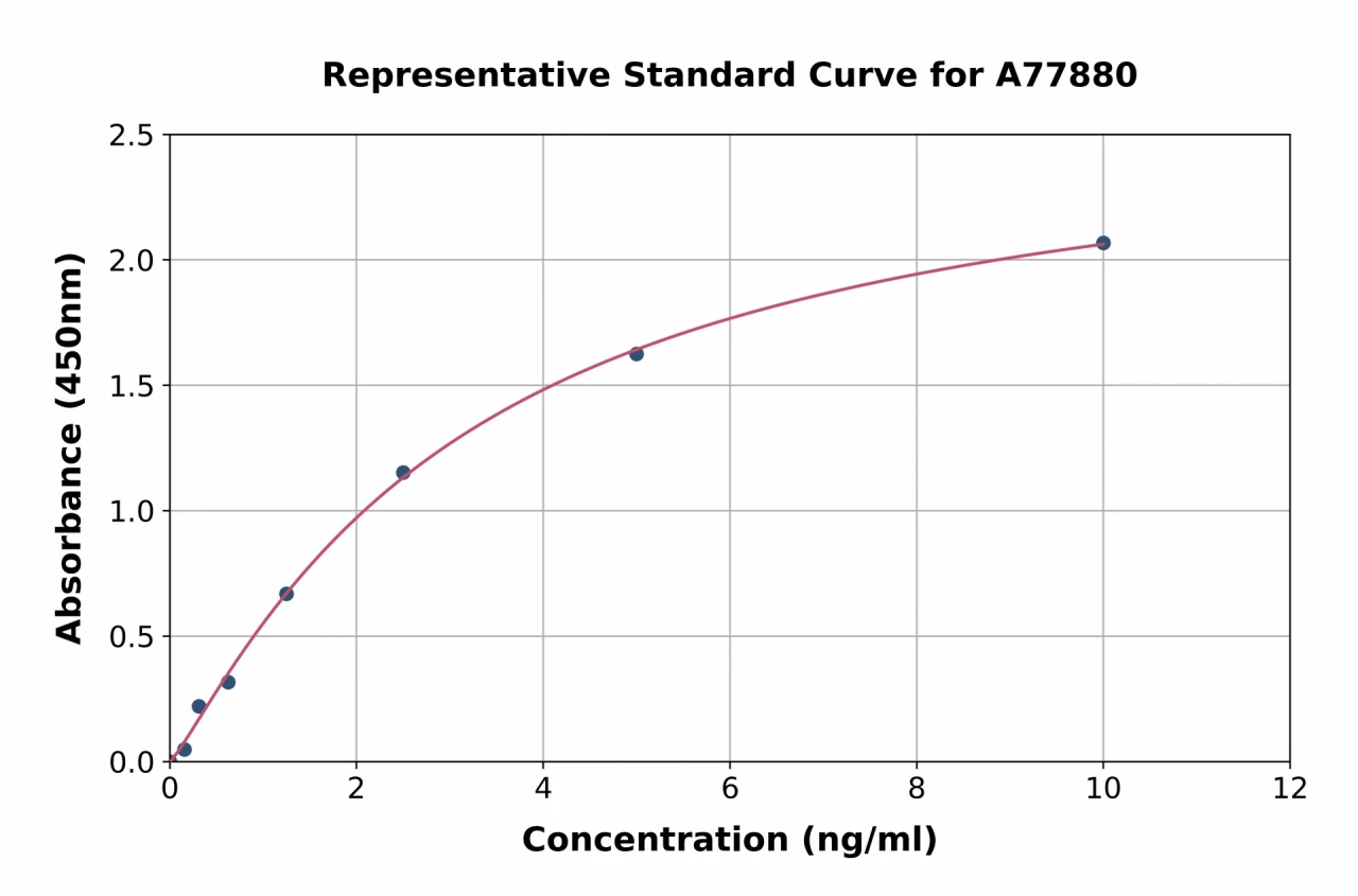 Human AMCase ELISA Kit (A77880-96)