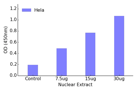 FOXC1 + FOXC12 ELISA Kit (A104187-96)