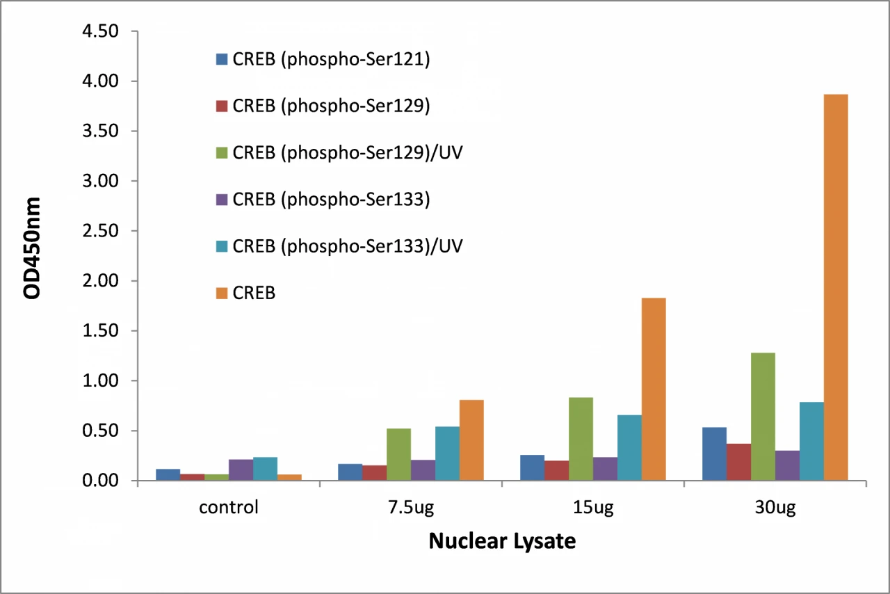 CREB (phospho Ser129) ELISA Kit (A104162-96)