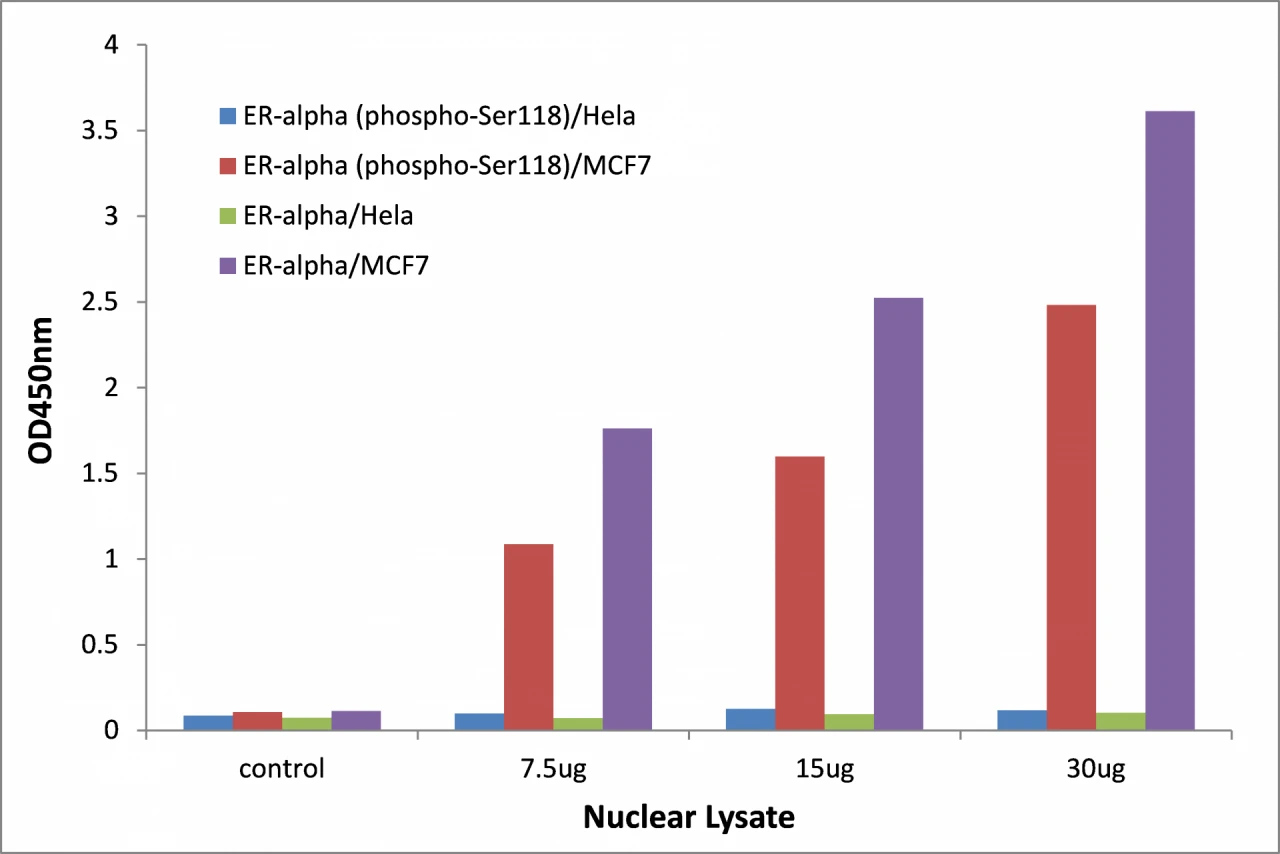 Estrogen Receptor alpha (phospho Ser118) ELISA Kit (A104103-96)