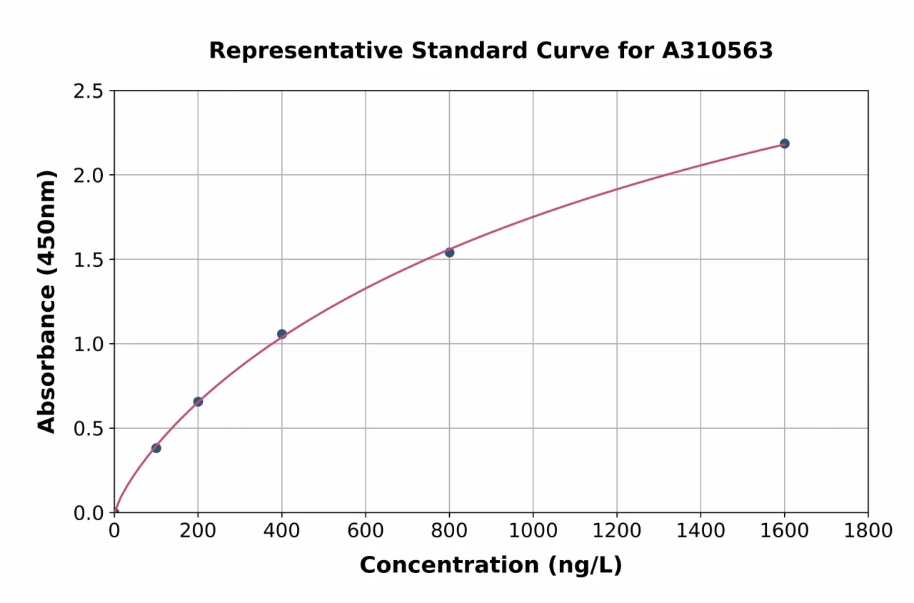 Human CaMKII beta ELISA Kit (A310563-96)