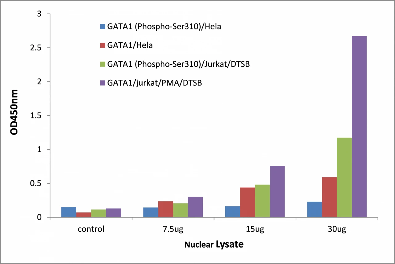 GATA1 (phospho Ser310) ELISA Kit (A104136-96)