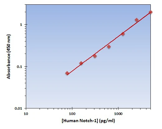 Human Notch 1 ELISA Kit (A101876-96)