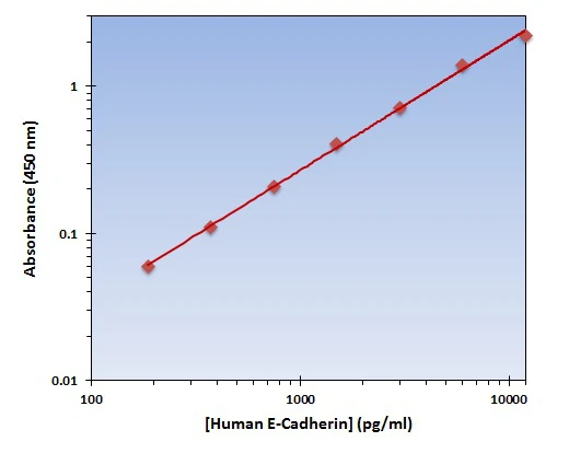 Human E Cadherin ELISA Kit (A101993-96)