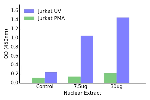 JunB ELISA Kit (A104256-96)