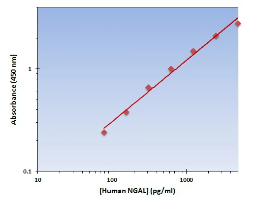 Human NGAL ELISA Kit (A101877-96)