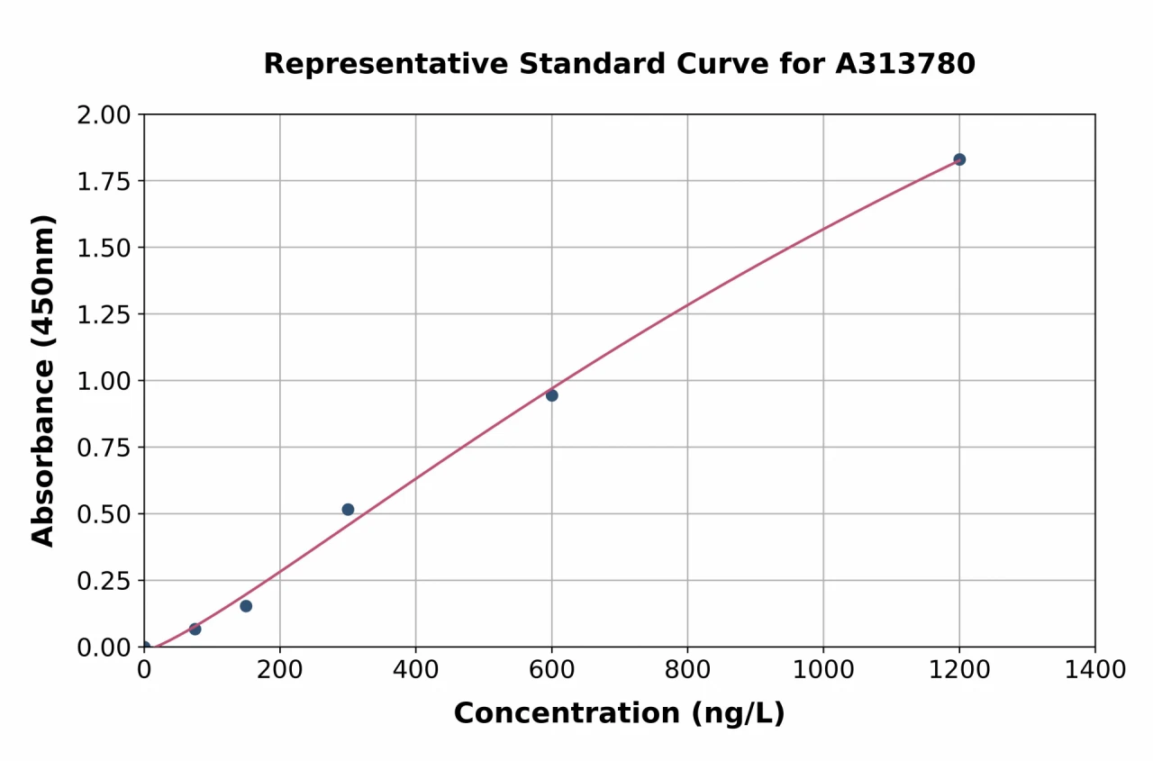 Human ZBT10 ELISA Kit (A313780-96)