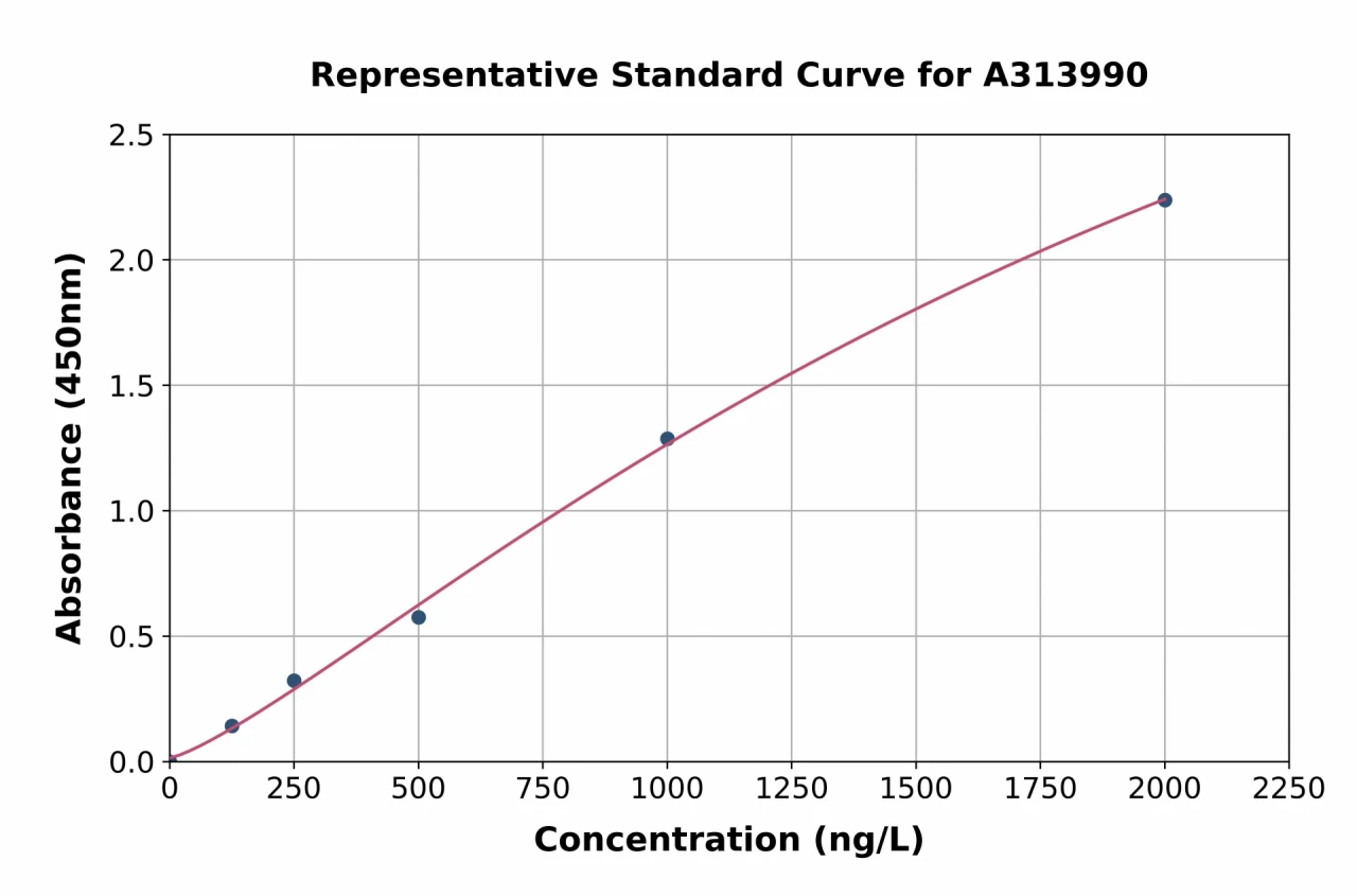 Human PNMT ELISA Kit (A313990-96)