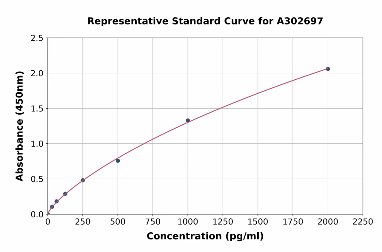 Human RAC2 ELISA Kit (A302697-96)