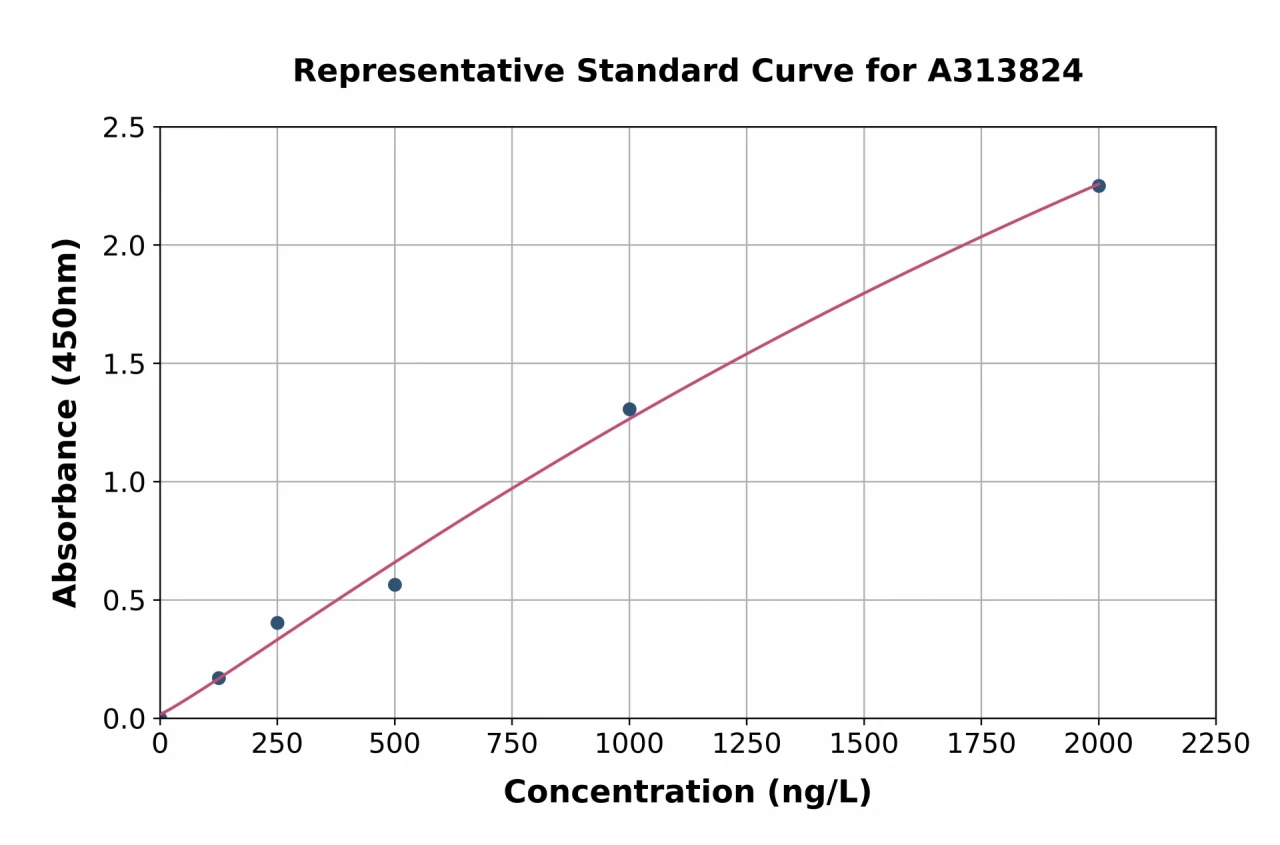 Human SHP2 ELISA Kit (A313824-96)