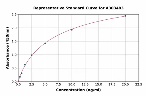 Mouse CNDP1 / CN1 ELISA Kit (A303483-96)