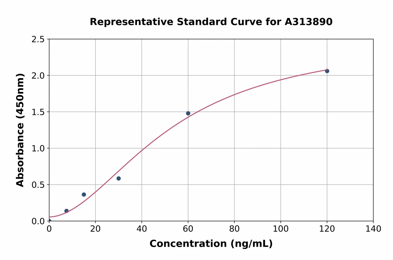 Human htrA1 ELISA Kit (A313890-96)