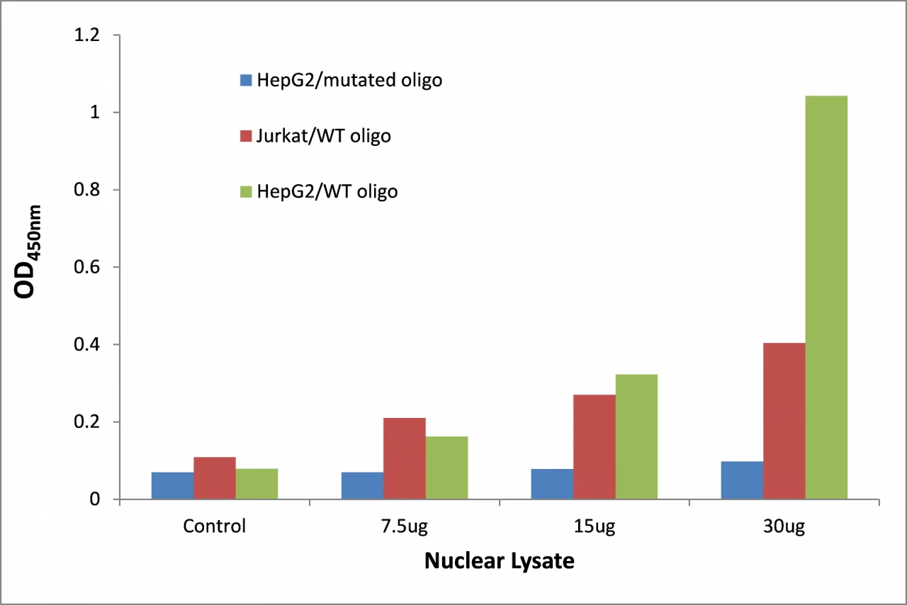 KLF7 ELISA Kit (A104288-96)