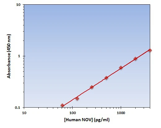 Human NOV ELISA Kit (A101875-96)