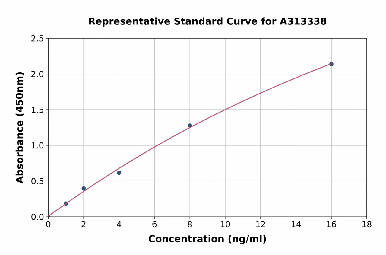 Human Wnt5a ELISA Kit (A313338-96)