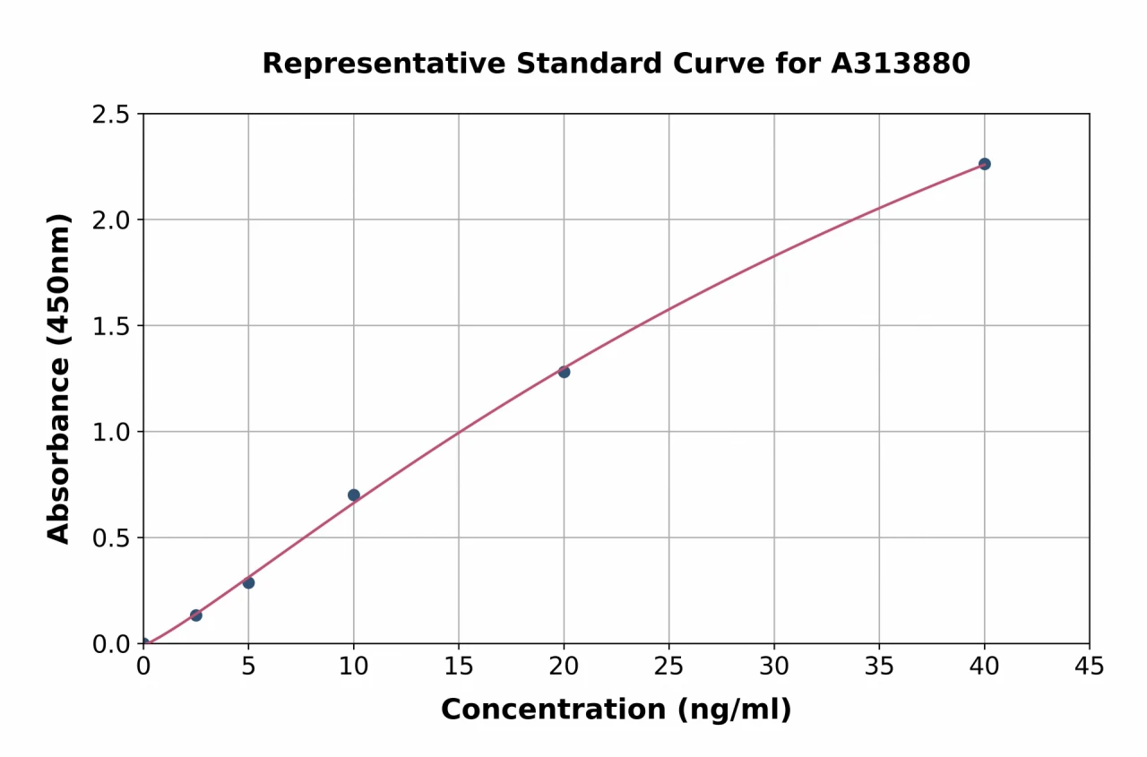 Human STK3 / MST-2 ELISA Kit (A313880-96)