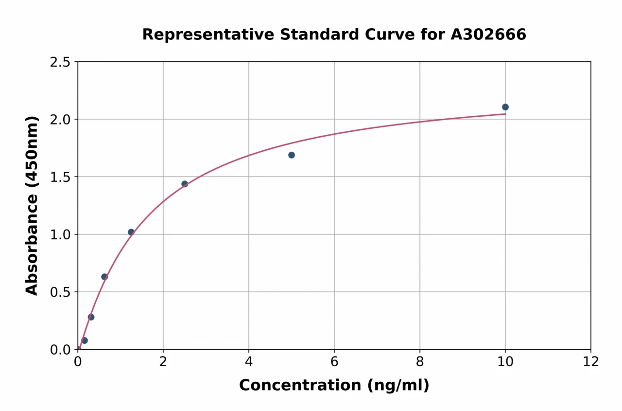 Human PITX1 / BFT ELISA Kit (A302666-96)