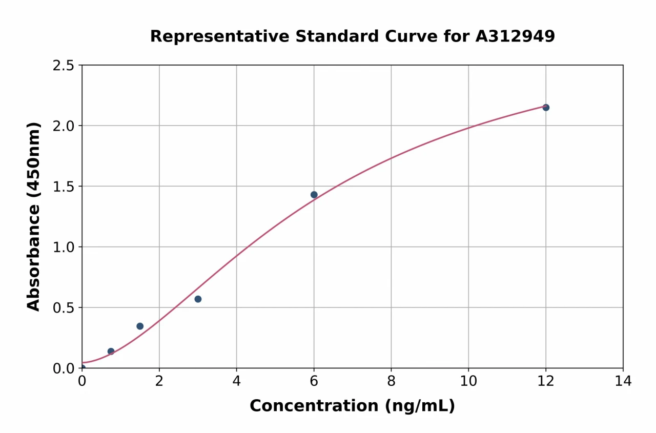 Human Wnt5a ELISA Kit (A312949-96)