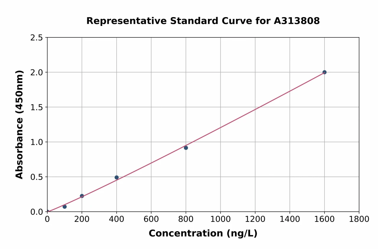 Human FOXP1 ELISA Kit (A313808-96)